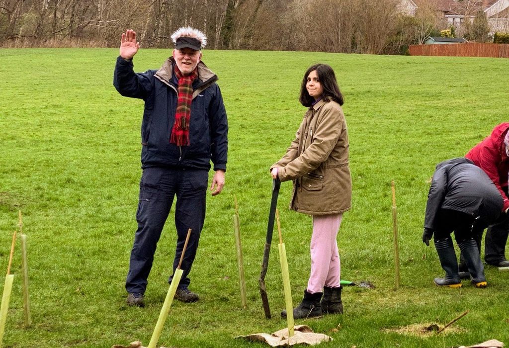 Tree Planting